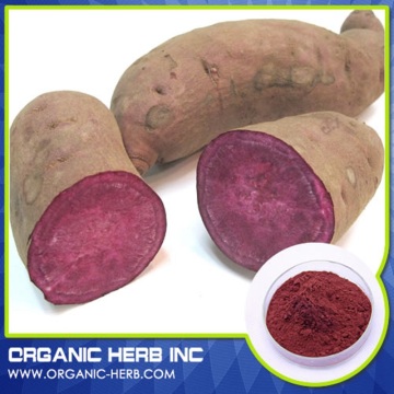 purple sweet potato