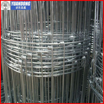 Grassland fence /Grassland netting/Grassland wire mesh