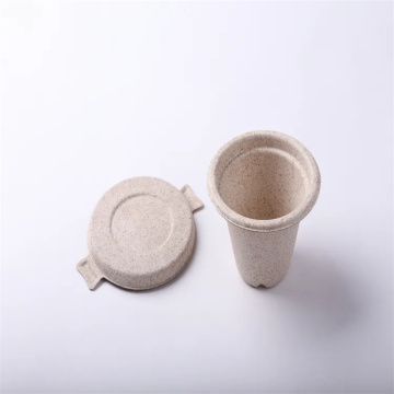 Disposable biodegradable eco friendly bagasse cup with lid