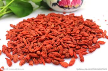 High Standard Goji Berry/Non GMO Goji Berry