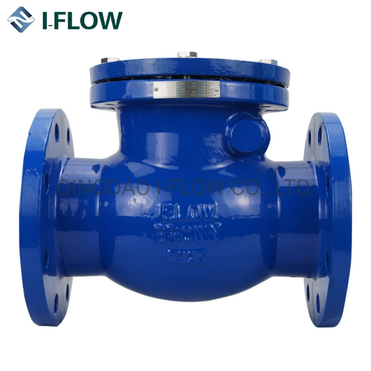 Water DIN Cast Iron Flanged Swing Rubber Check Valve Price