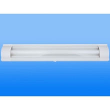 Electronic Wall Lamp, T8 Fluorescent Wall lamp