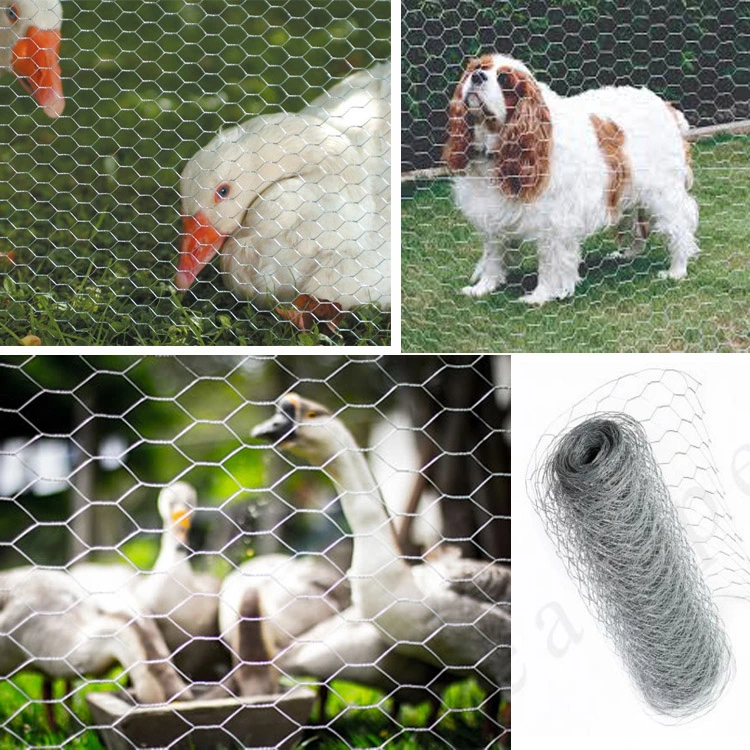 Factory Directly Selling Hexagonal Wire Mesh for Chicken