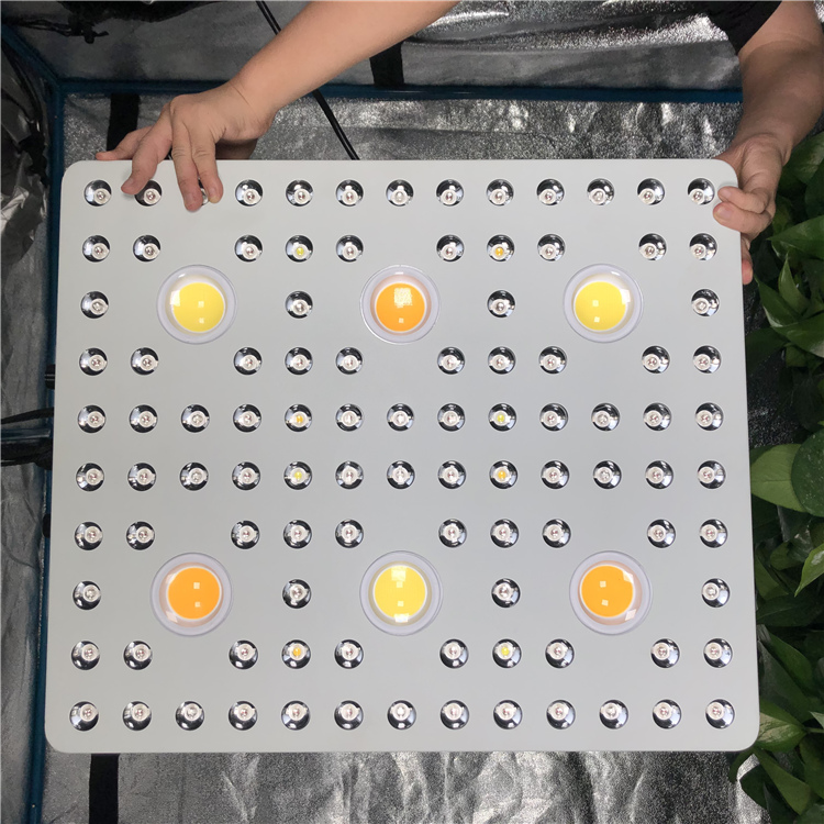 CXB3590 Cree COB Led Grow Light