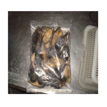Fresh Frozen Mussel Meat Shellfish Detail Half Shell Mussel Frozen Shellfish