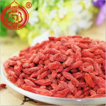 Health Organic Certified Goji Berry Organic Dried Fruit