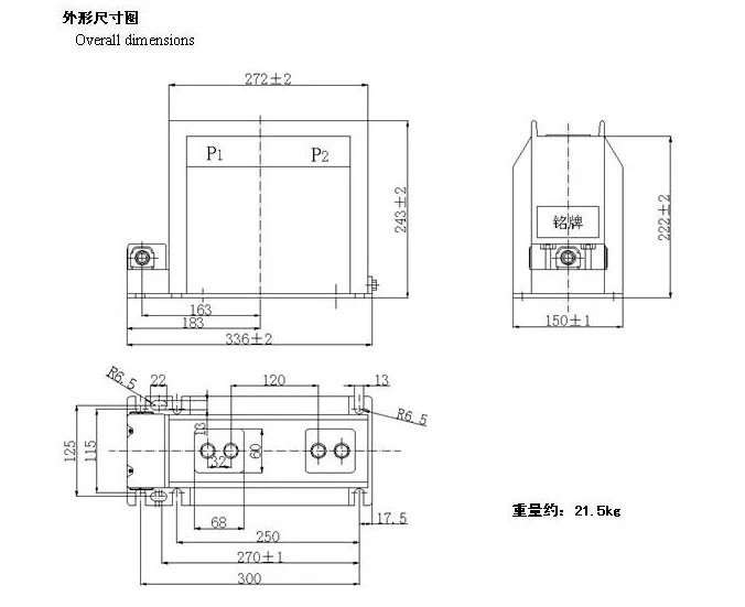 Lzzbj9-12 (150b/2s) Indoor Epoxy Cast-Resin Current Transformer