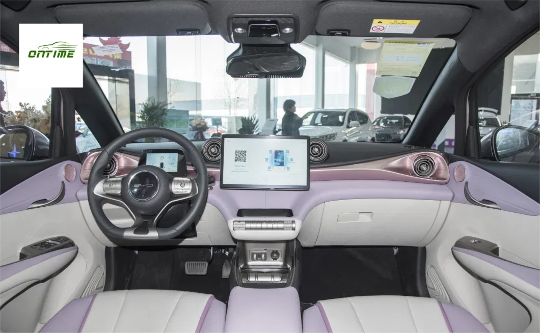 Made in China Electric Cars Dolphin for Family Use Electric Vehicle