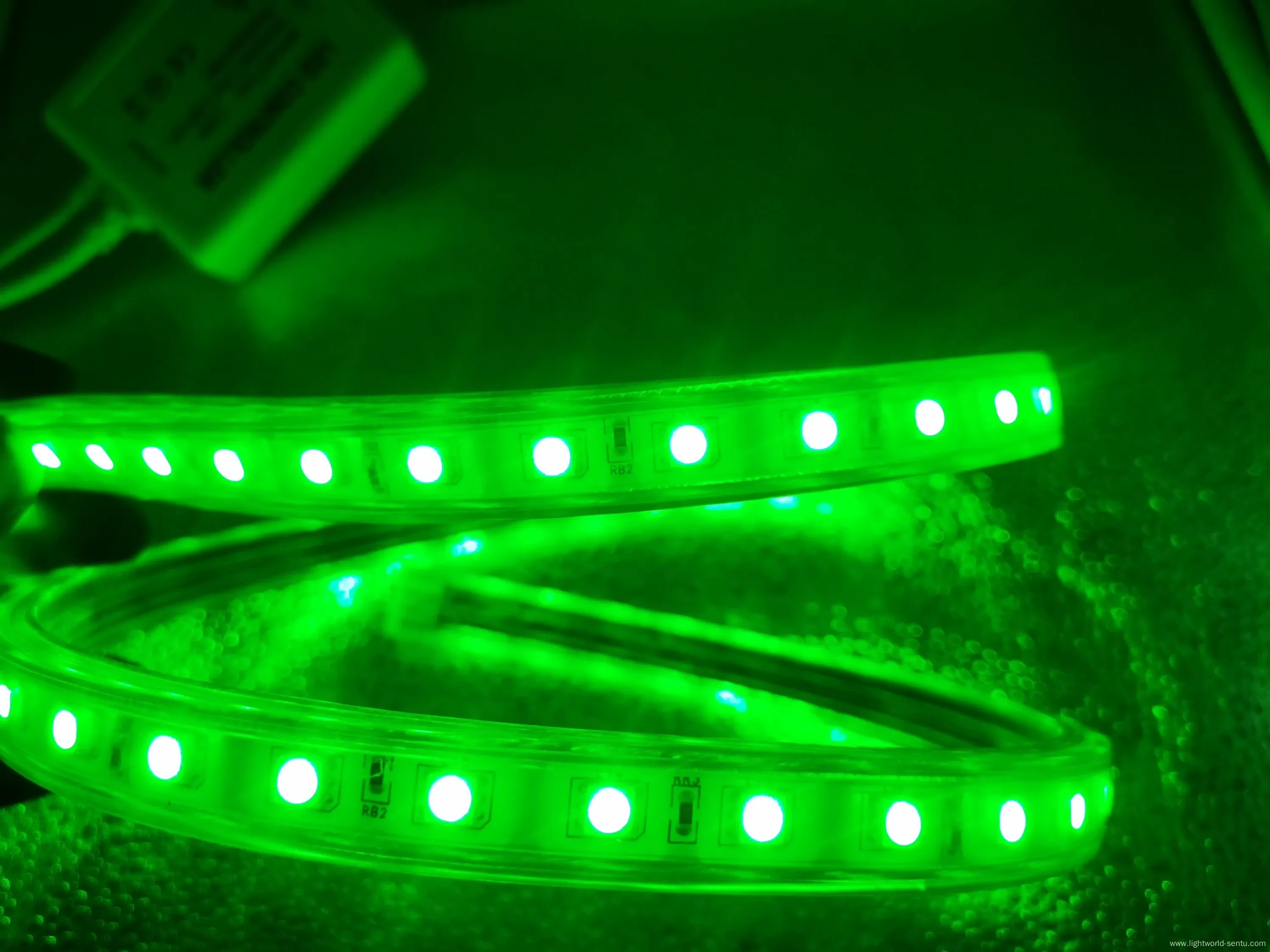 Dimmable SMD5050 RGB Color Strip for Palm Tree