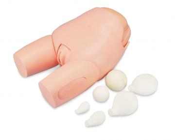 Advanced uterine fundus model