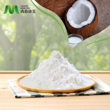 Natural Coconut Milk Powder