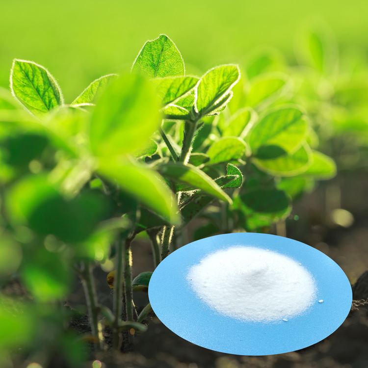 Dr Aid Hot Sale soluble fertilizer KNO3 Potassium Nitrate Fertilizer For Plant Growth