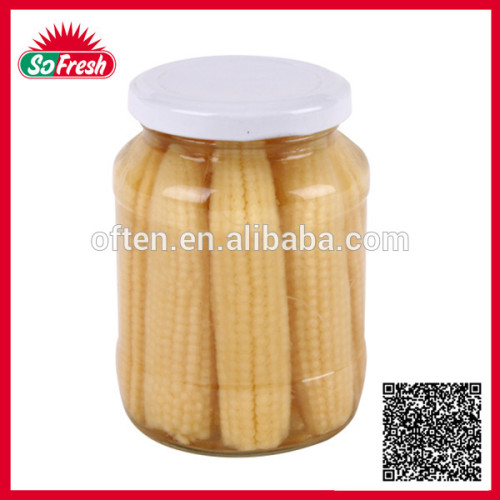 Newly crop wholesale price canned baby corn in glass jar