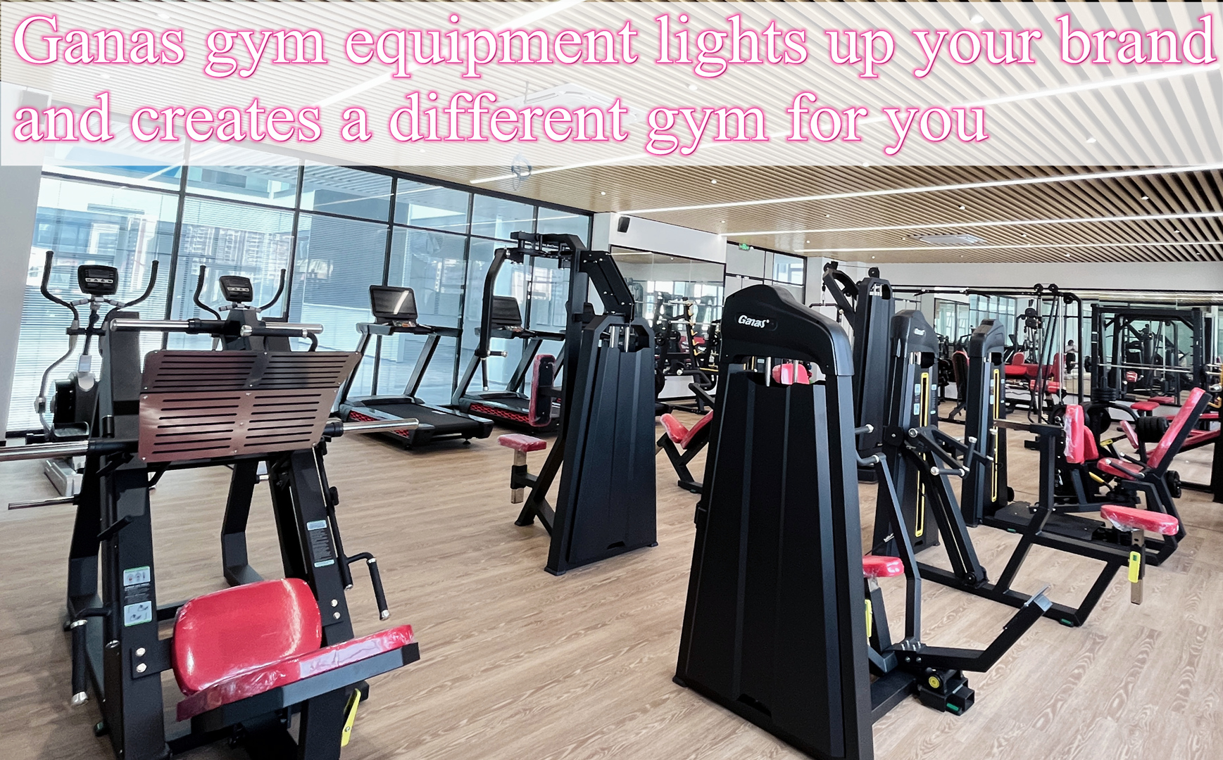 Ganas gym equipment lights up your brand and creates a different gym for you
