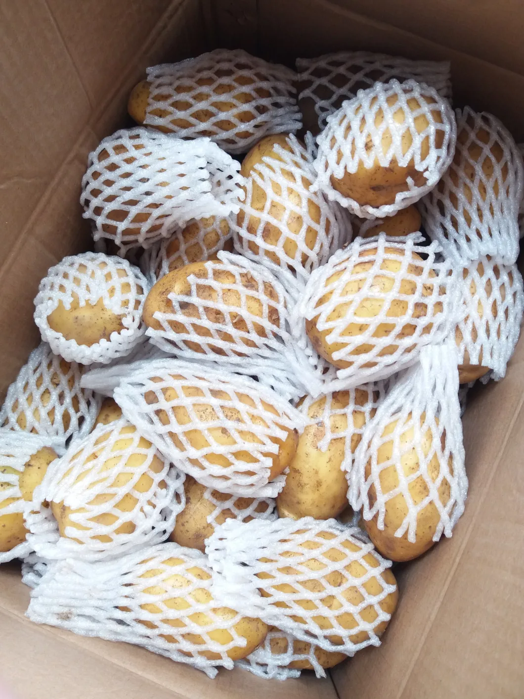 Best Quality Fresh Potato Wholesale Supplier