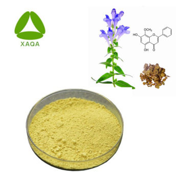 SCUTELLARIA BAICALENSIS Extrait WOGONIN 98% poudre