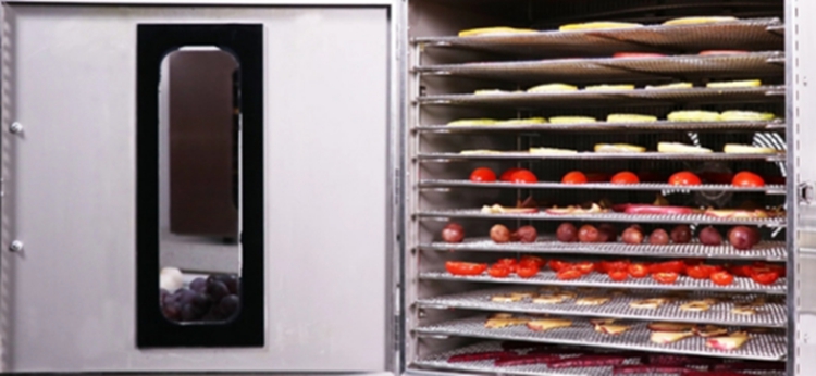 automatic new style Dried fruit machine household for hot selling