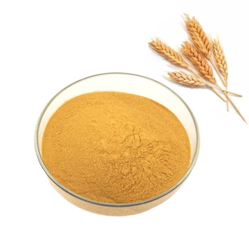 Malt Extract Powder Wholesale