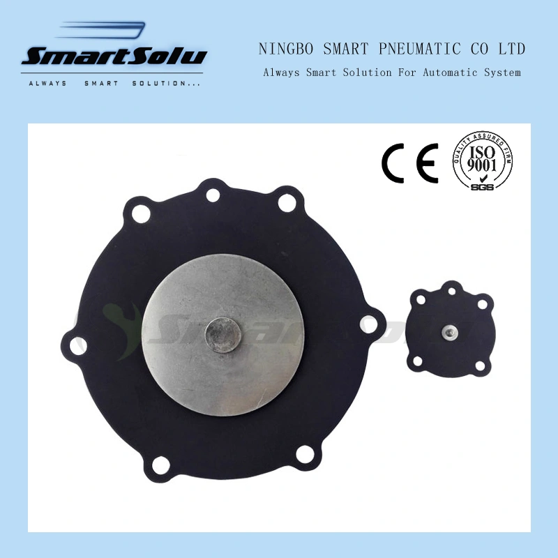 Diaphragm for Joil 2 1/2