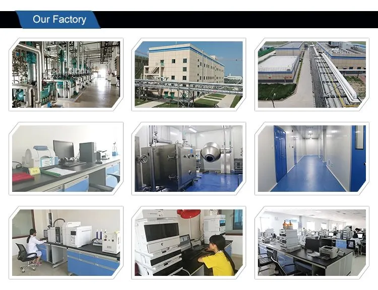 Longyu Supply High Purity Azamethiphos 35575-96-3