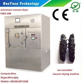 Microwave Vacuum Drying Equipment