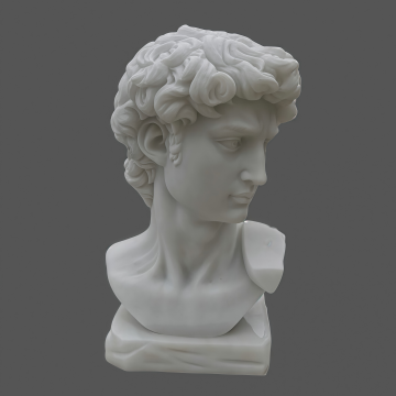 Gallery Decor Michelangelo David Carrara Marble