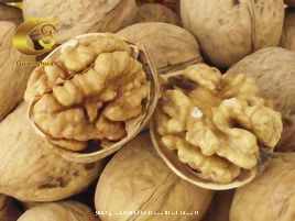 Hot Sales New Crop Walnut in Shell