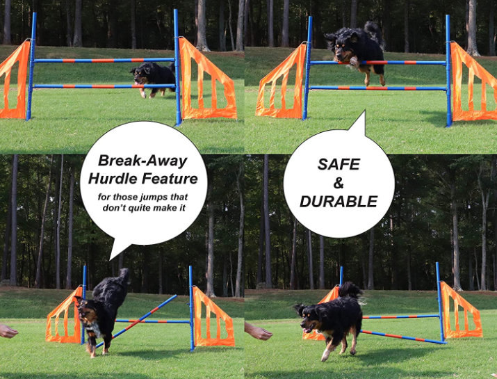 Dog Agility Practice Set