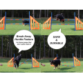 Hundens agility hopp set