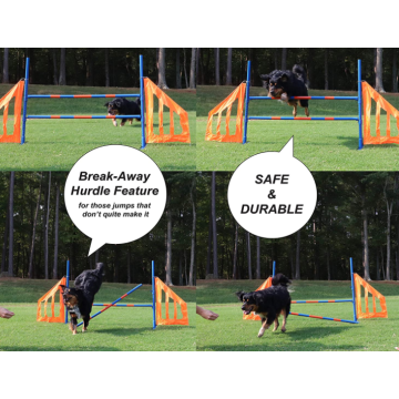 Hunde-Agility-Sprung-Set