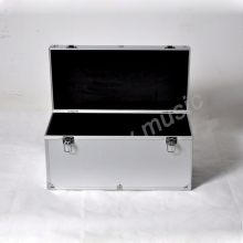 Model Airplane Flight Case