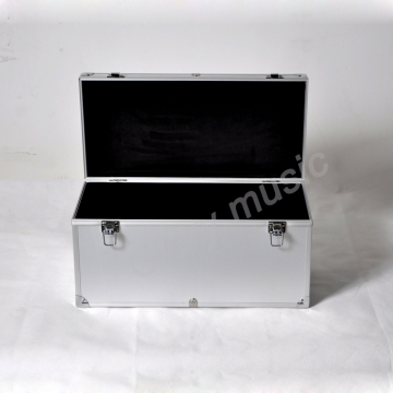 Model Airplane Flight Case