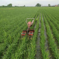 Riz paddy d'essence de machine de désherbeur de riz