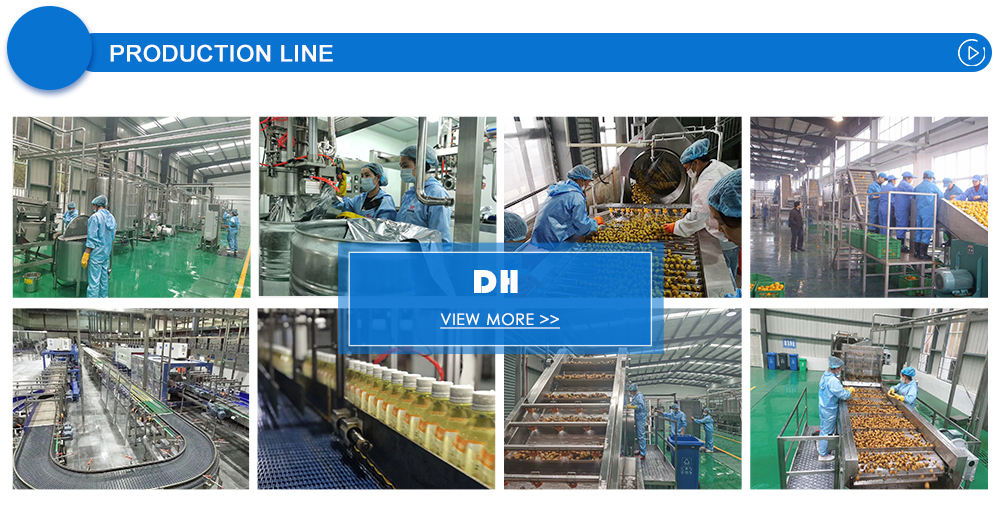 Fruit pulper machine for Fruit Processing Line