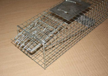 trap fox cage