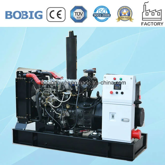 20kw 25kVA Electric Generator Open Silent Weatherproof with Yangdong Engine