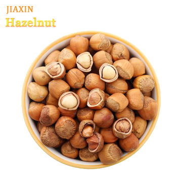 Hazelnut for Sale High Quality Hazelnuts in Shell