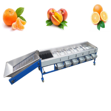 Fruit Sorting and Grading Machine