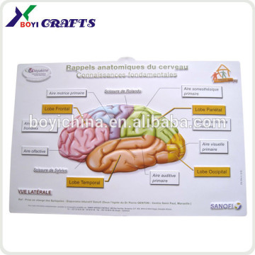 2014 chinese manufacturer medical educational printing poster design,bulk poster printing