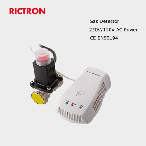 Tragbarer Gasdetektor Gasdetektor Monitor Ton- und Lichtalarm
