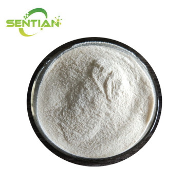 Food Grade Beta Amylase Enzyme Powder Diastase Enzyme