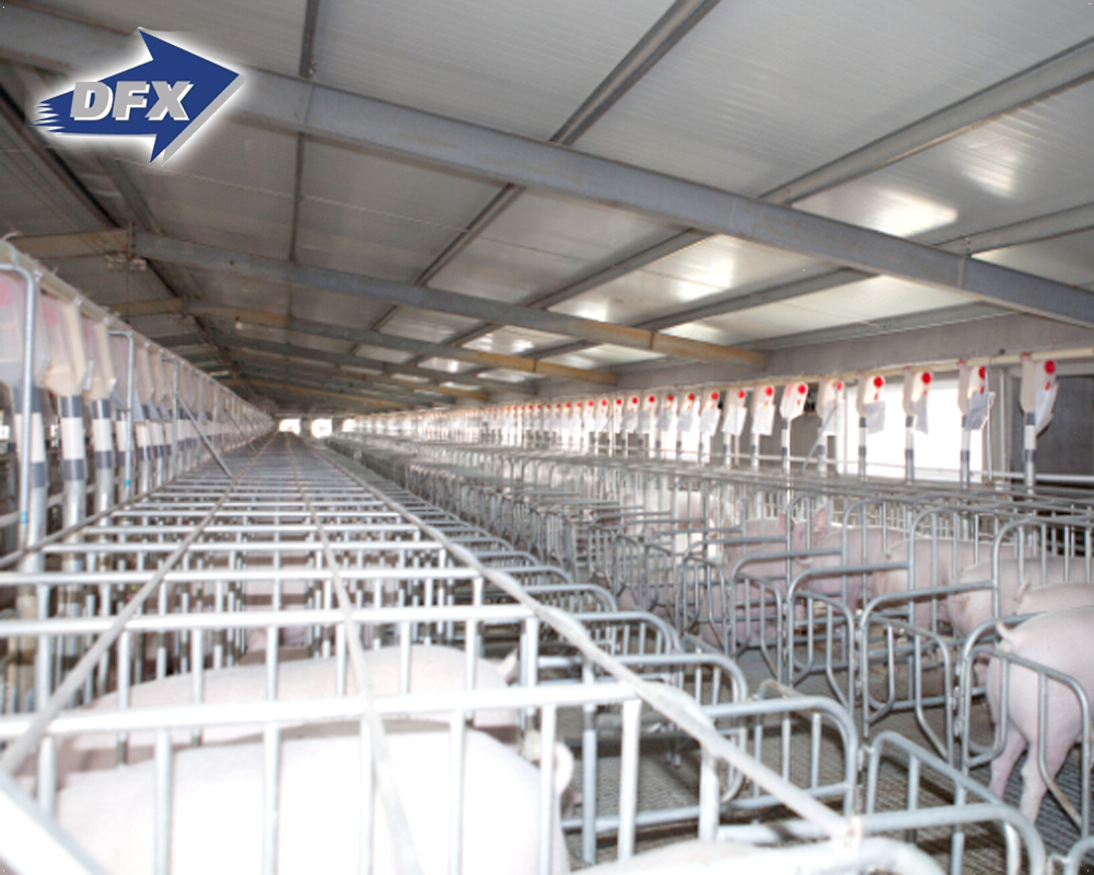 China low cost prefabricated light steel pig farm house construction shed