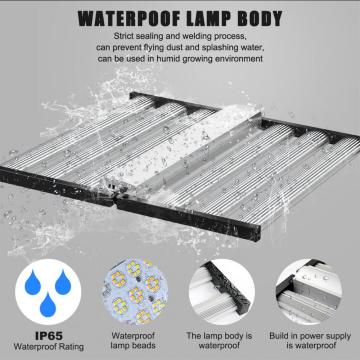 1500W Samsung EVO Verfügbare kommerzielle PHLIZON LED Wachsen Sie Licht für Gewächshaus