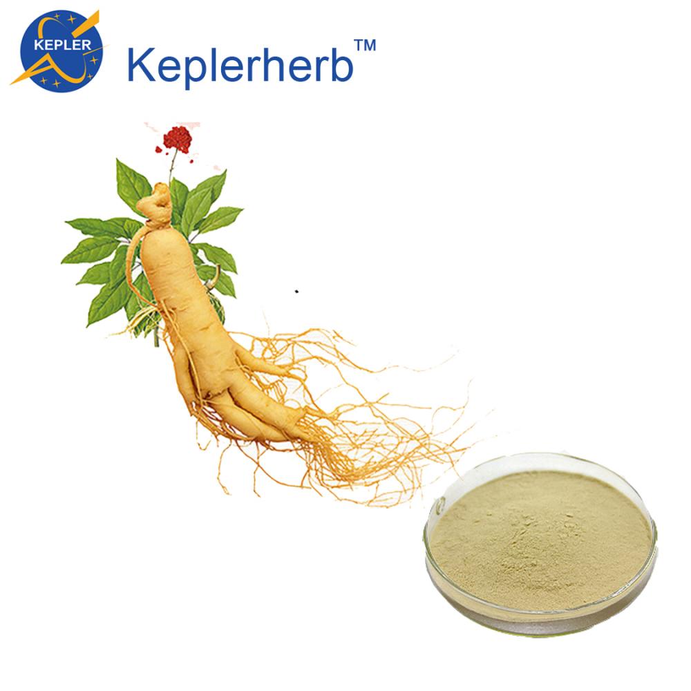 Ginseng Panax Extrato em pó ginsenosídeos UV