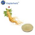 Ginseng panax extract powder ginsenosides UV