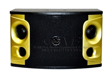 Professional 10Inch Powered Sub woofer Karaoke Speaker KV-210