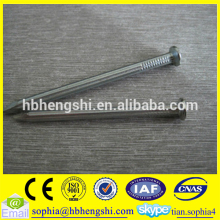 common wire nail iron nail all sizes factory price