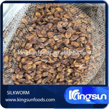 Frozen dried silkworm