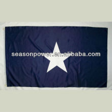 bonnie blue flag