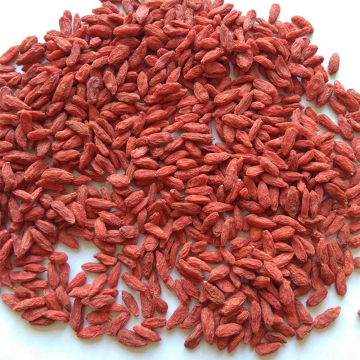 Lycium barbarum Ningxia Dried goji berry for sale